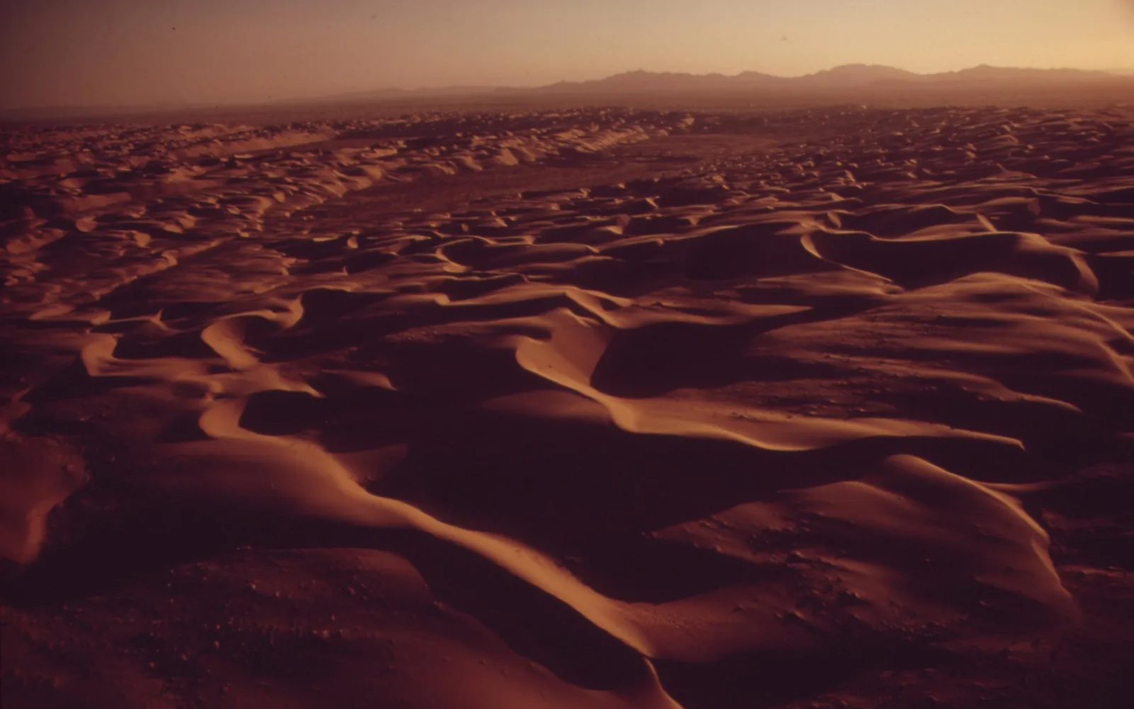 Aerial landscape of sand dunes and desert terrain in the Colorado Desert region showing arid climate