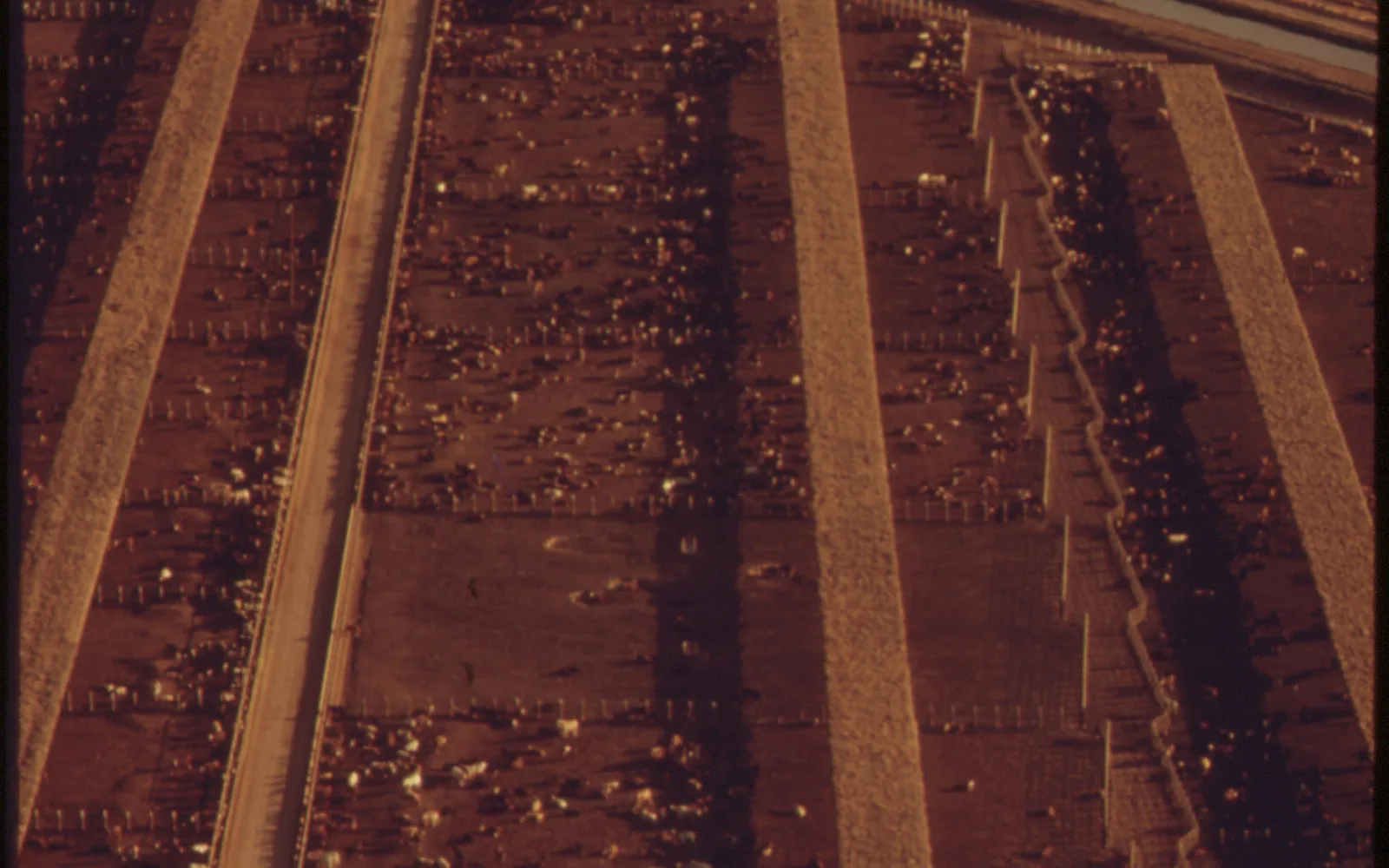 The All-American Canal showing irrigation infrastructure that transformed Imperial Valley desert into productive farmland